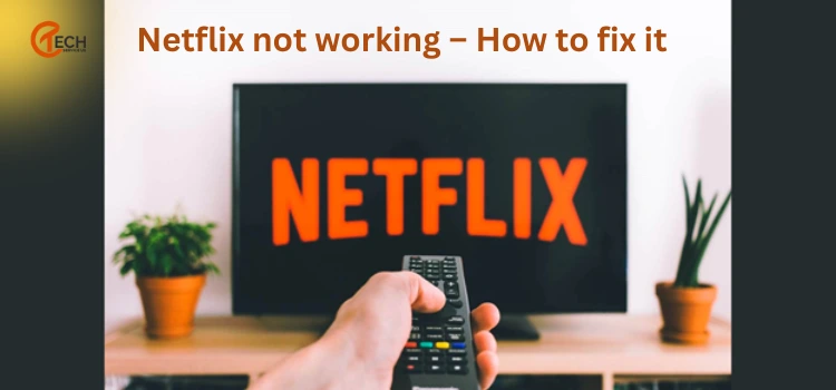 Netflix not working