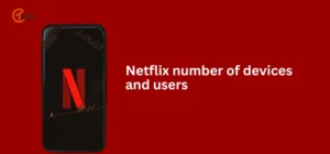 Netflix number of devices and users